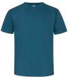 ZT215 J215M  Classic Heavyweight T-Shirt Petrol Blue colour image